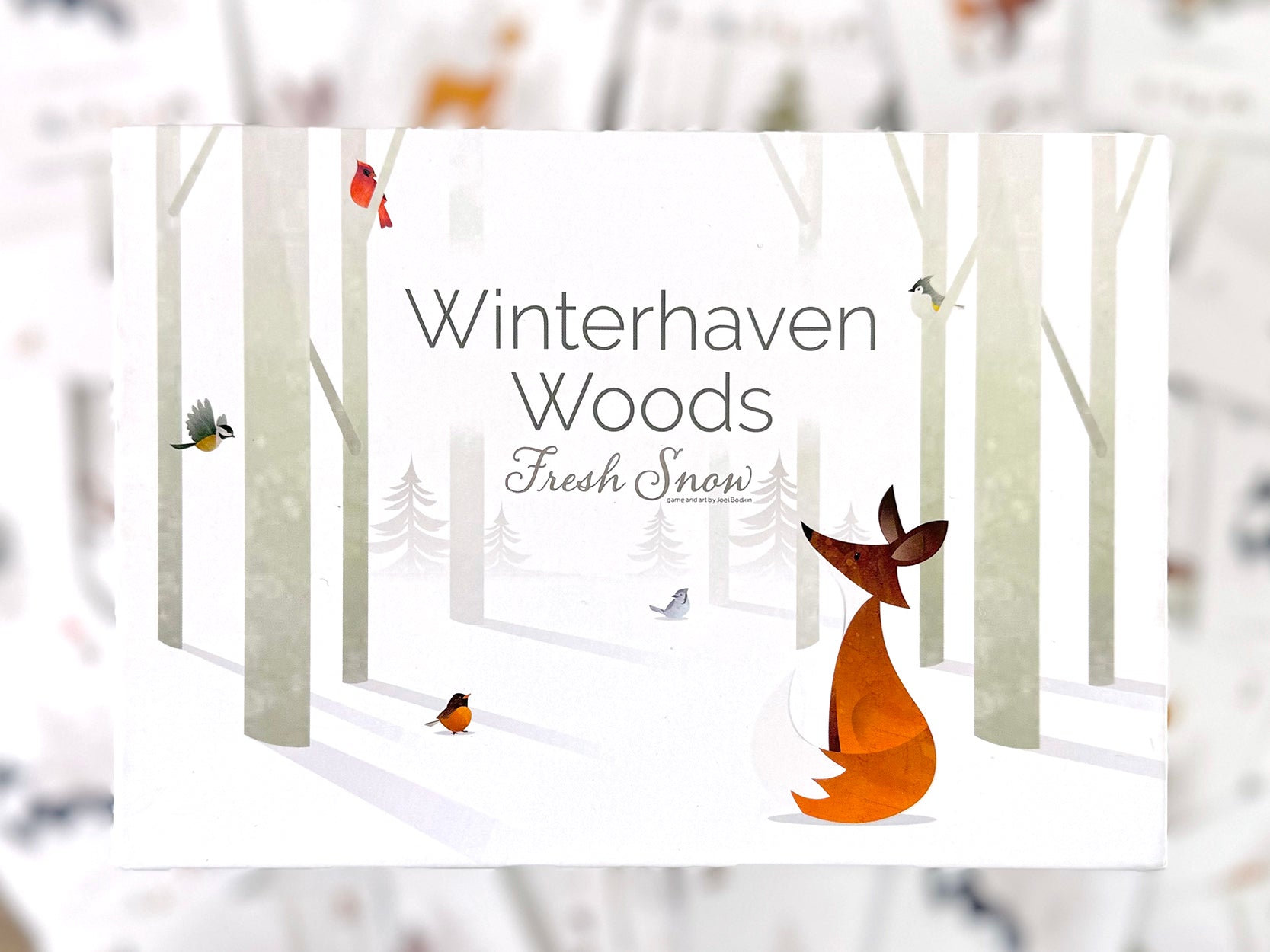 Winterhaven Woods: Fresh Snow